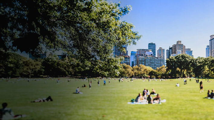 Sunny park with city skyline in the background